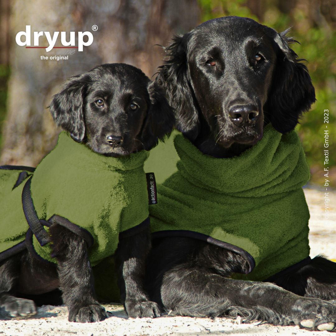 Dryup cape - Moss
